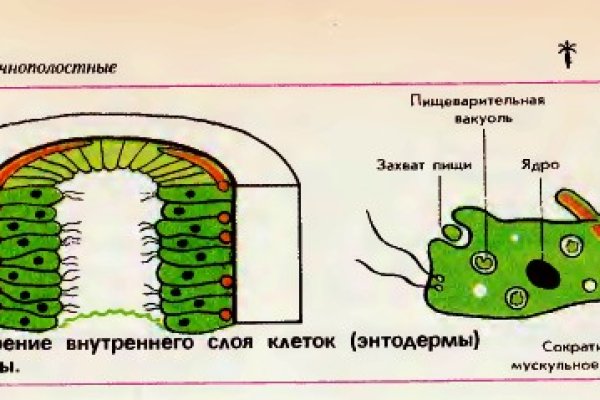 Mega onion mega zerkalo